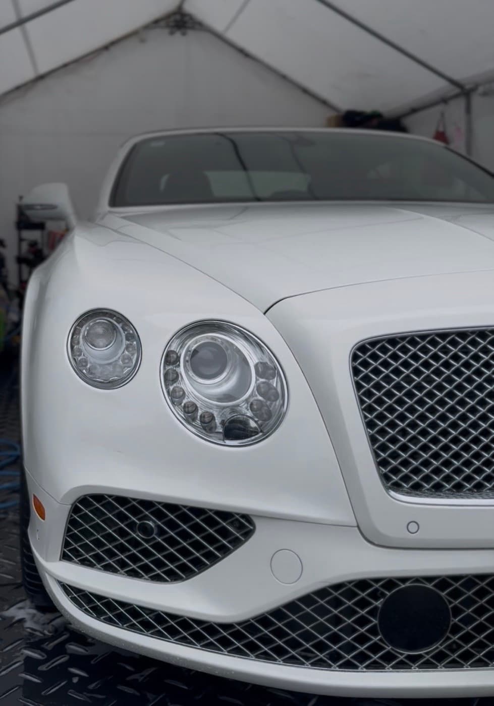 White Bentley after ceramic coating